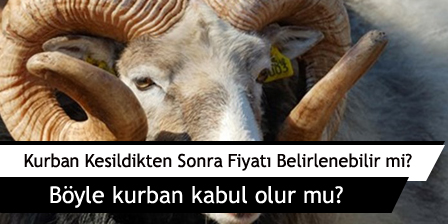 Nabza Göre Fetva